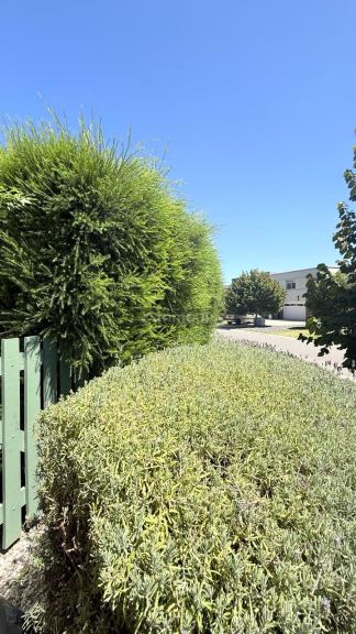 Casa en Venta en Mar del Plata, Buenos Aires Costa Atlantica