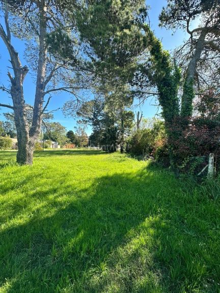 Terreno en Venta en Mar del Plata, Buenos Aires Interior