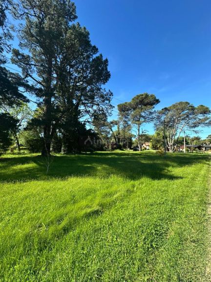 Terreno en Venta en Mar del Plata, Buenos Aires Interior