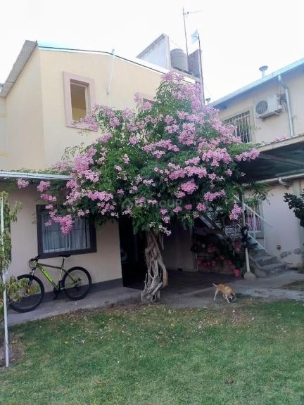 Departamento en Alquiler en Maipu, Mendoza