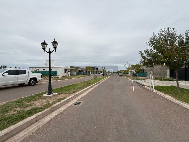 Lote en Venta en Lujan de Cuyo, Mendoza