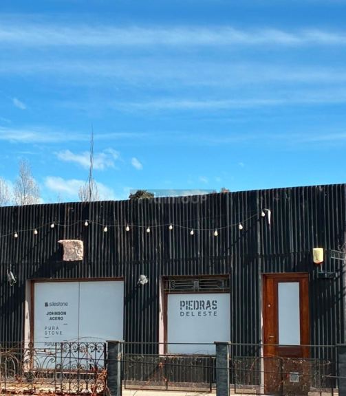 Local Comercial en Alquiler en Maipu, Mendoza