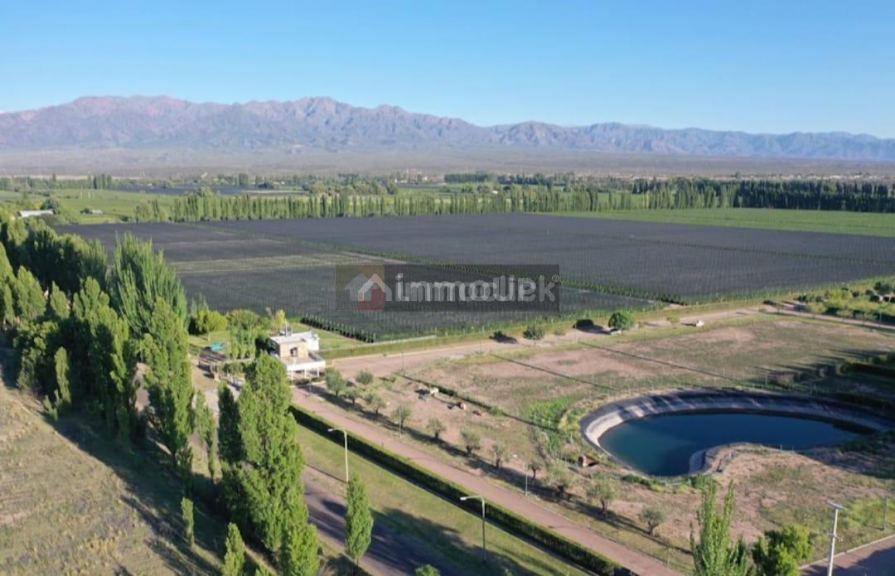 Lote en Venta en Lujan de Cuyo, Mendoza