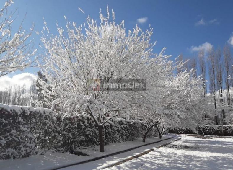 Lote en Venta en Lujan de Cuyo, Mendoza