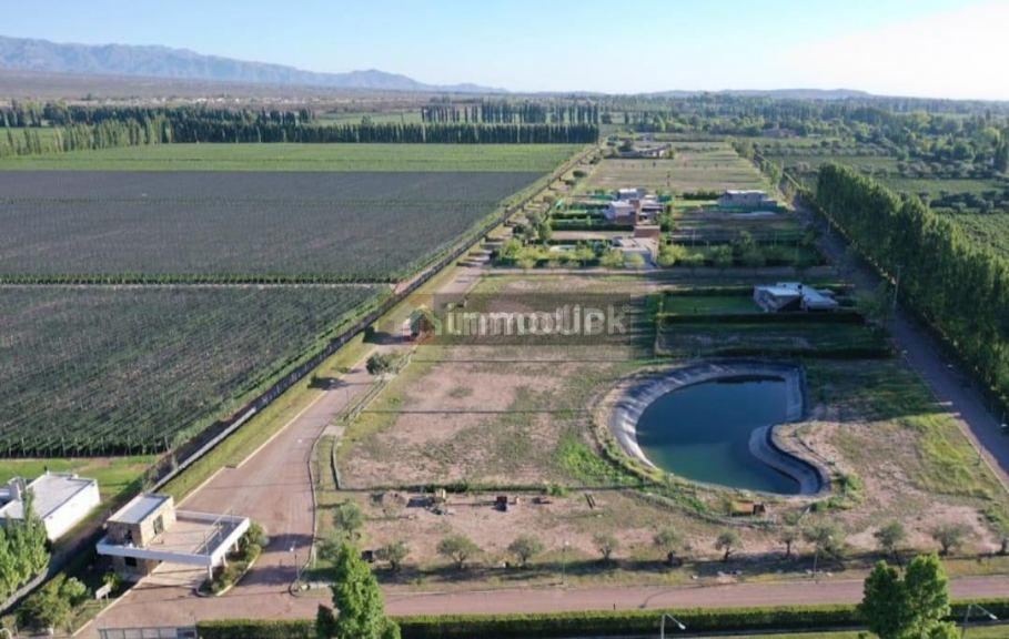 Lote en Venta en Lujan de Cuyo, Mendoza