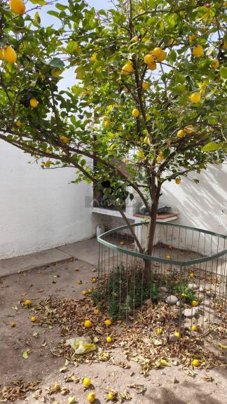 Casa en Venta en Godoy Cruz, Mendoza