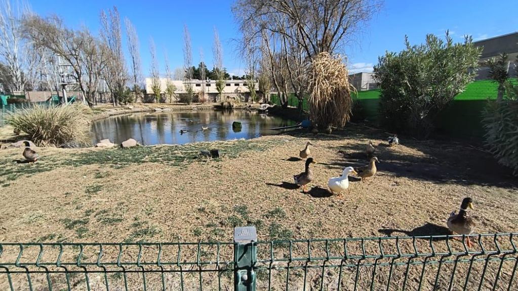 Lote en Venta en Maipu, Mendoza