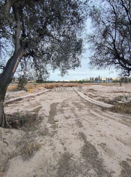 Lote en Venta en Lujan de Cuyo, Mendoza