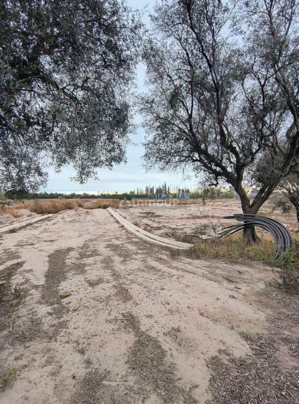 Lote en Venta en Lujan de Cuyo, Mendoza