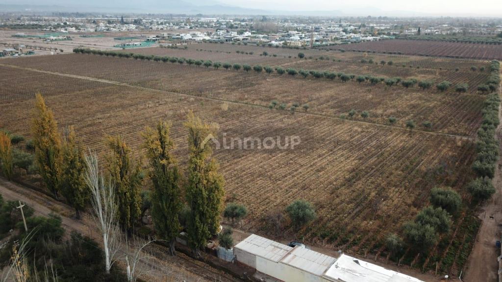 Lote en Venta en Maipu, Mendoza - USD 2.000.000 | Inmoup - 9