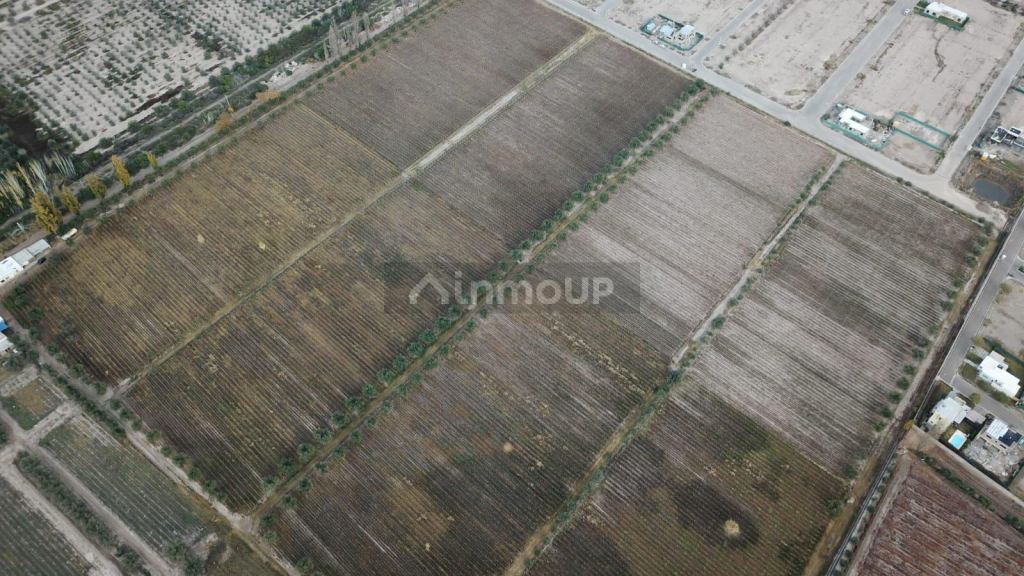 Lote en Venta en Maipu, Mendoza - USD 2.000.000 | Inmoup - 6