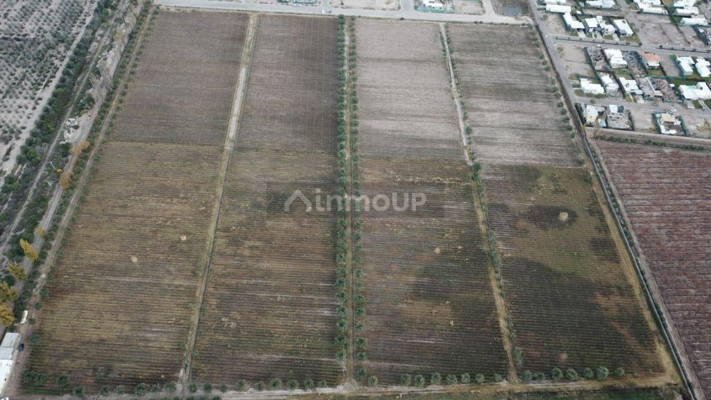 Lote en Venta en Maipu, Mendoza - USD 2.000.000 | Inmoup - 10