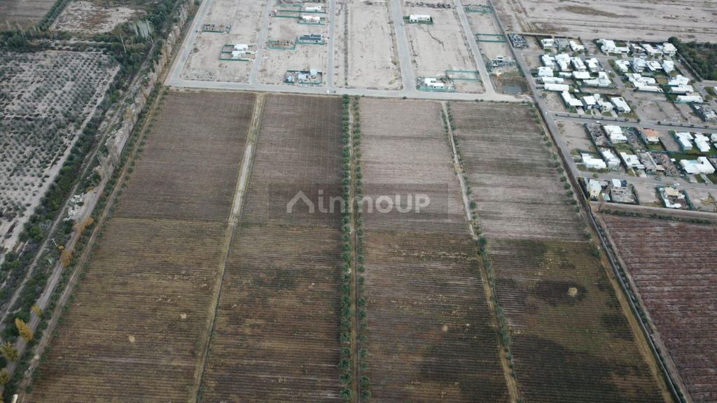 Lote en Venta en Maipu, Mendoza - USD 2.000.000 | Inmoup - 7