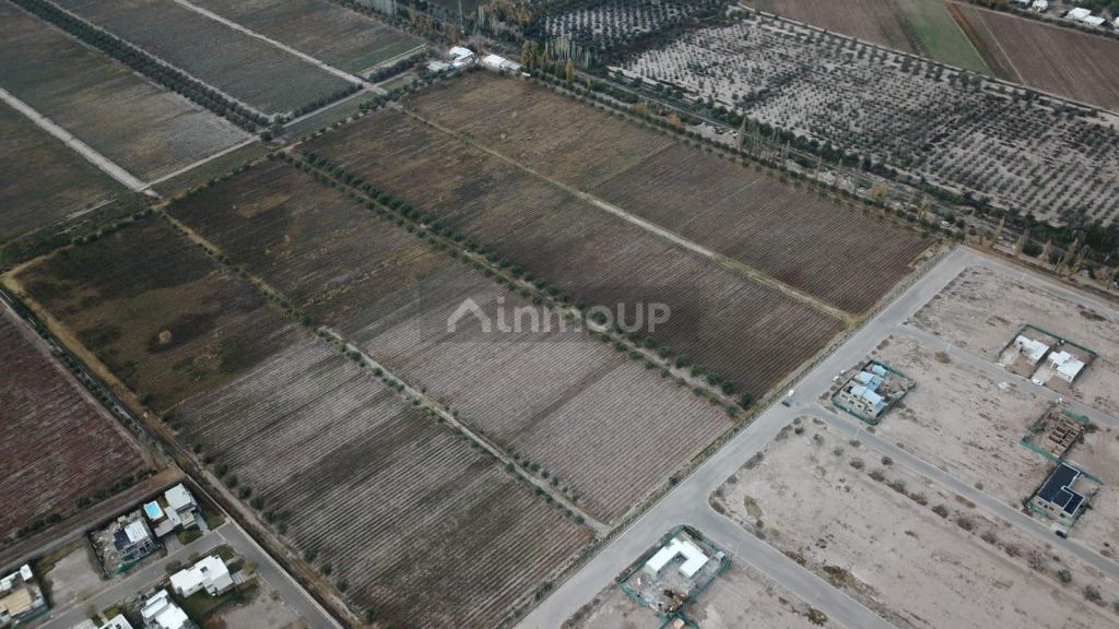 Lote en Venta en Maipu, Mendoza - USD 2.000.000 | Inmoup - 8