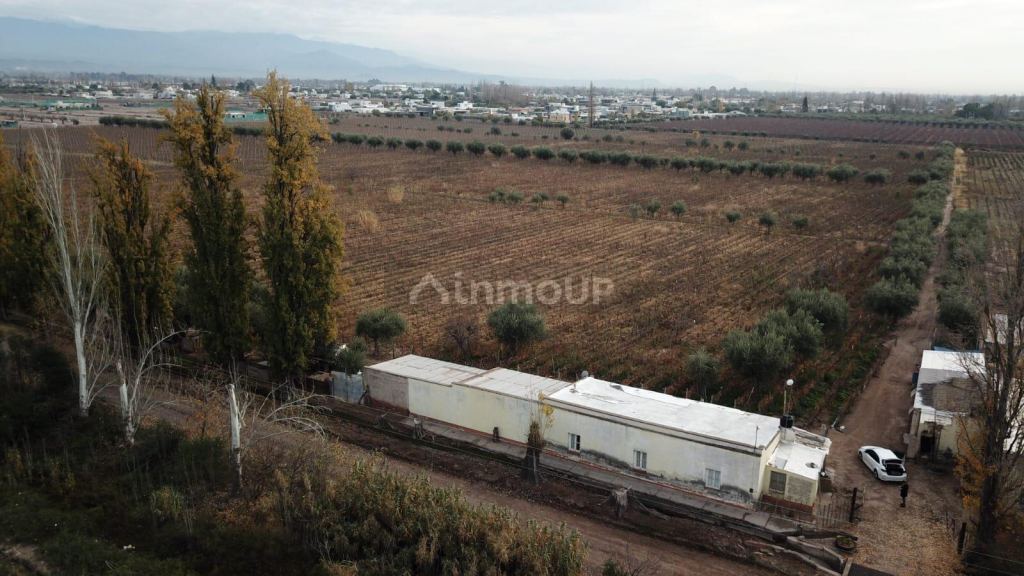 Lote en Venta en Maipu, Mendoza - USD 2.000.000 | Inmoup - 11