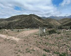 Lote en Venta en Lujan de Cuyo, Mendoza