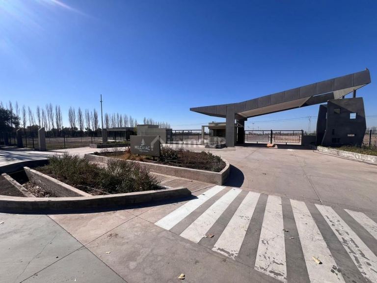 Lote en Venta en Lujan de Cuyo, Mendoza