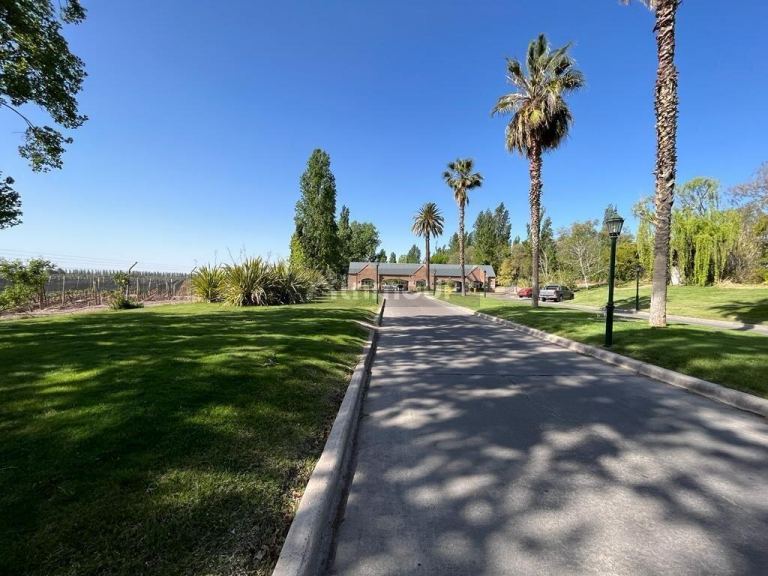 Lote en Venta en Lujan de Cuyo, Mendoza