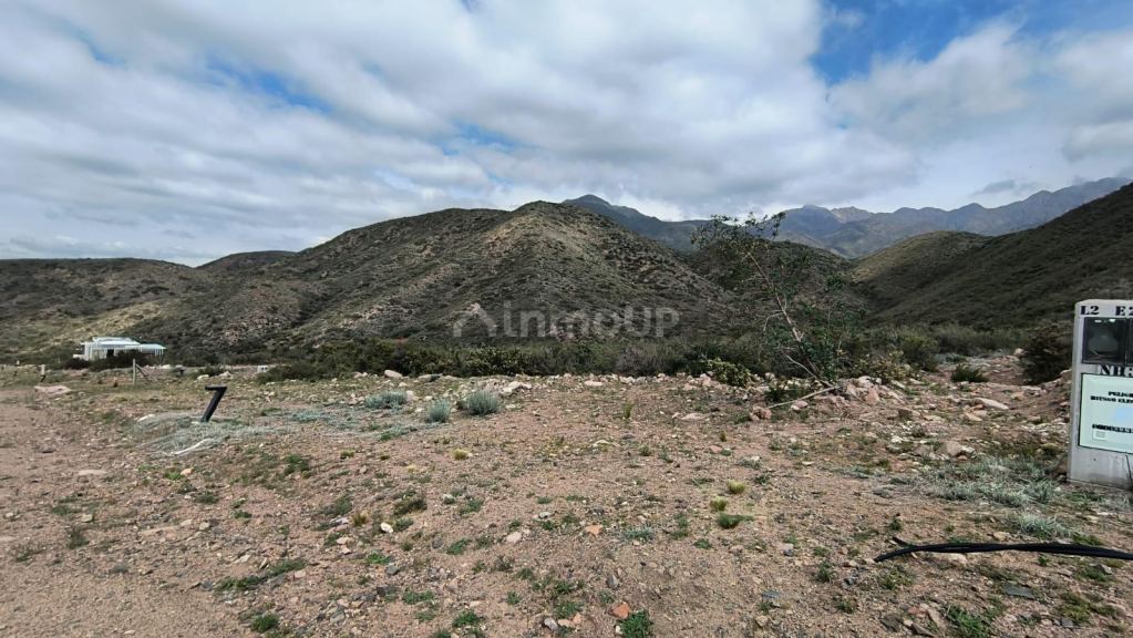 Lote en Venta en Lujan de Cuyo, Mendoza