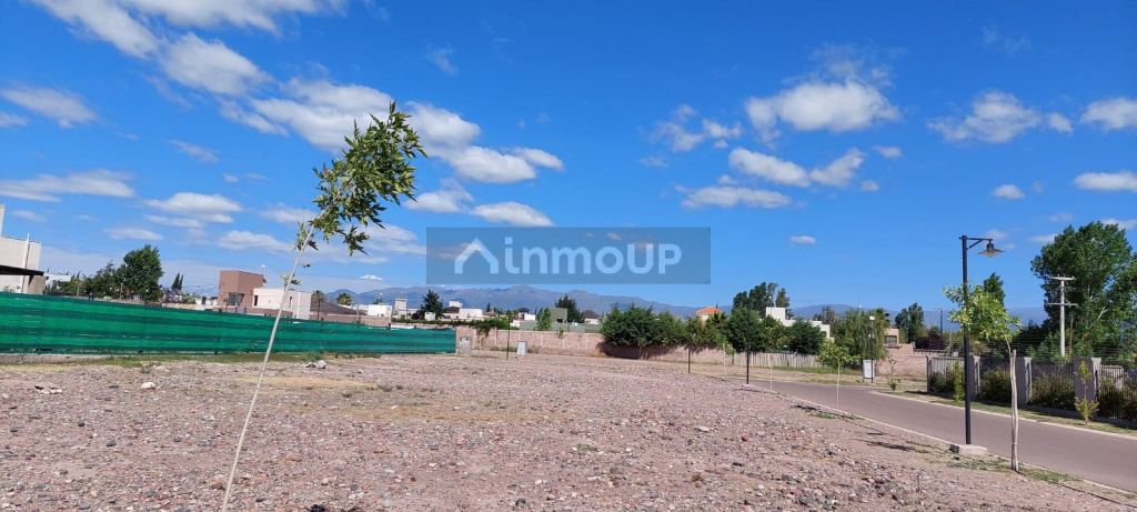 Lote en Venta en Lujan de Cuyo, Mendoza