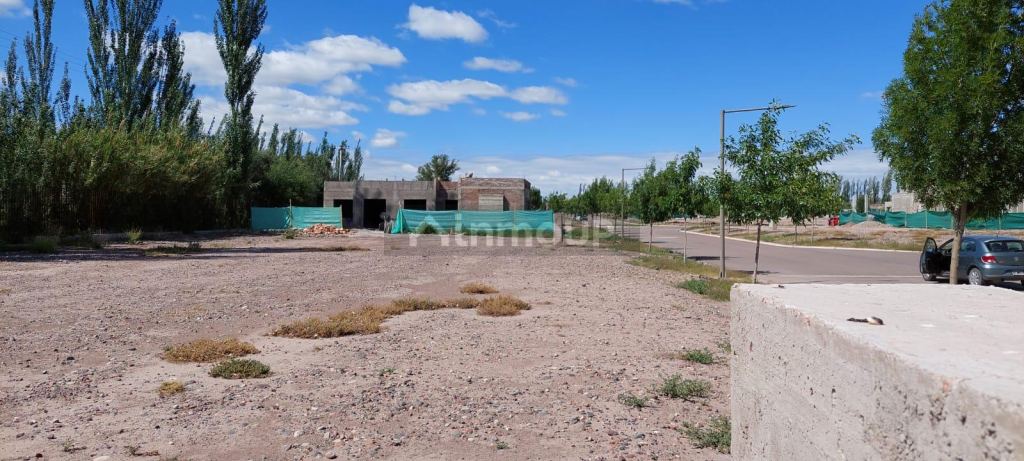 Lote en Venta en Lujan de Cuyo, Mendoza