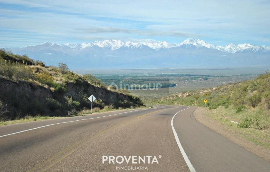 Finca en Venta en Lujan de Cuyo, Mendoza