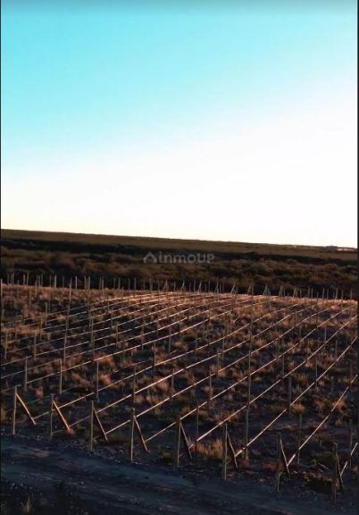 Lote en Venta en Lujan de Cuyo, Mendoza