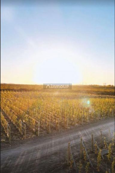 Lote en Venta en Lujan de Cuyo, Mendoza
