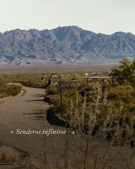 Lote en Venta en Lujan de Cuyo, Mendoza