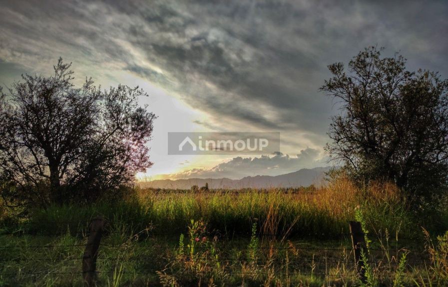 Lote en Venta en Lujan de Cuyo, Mendoza