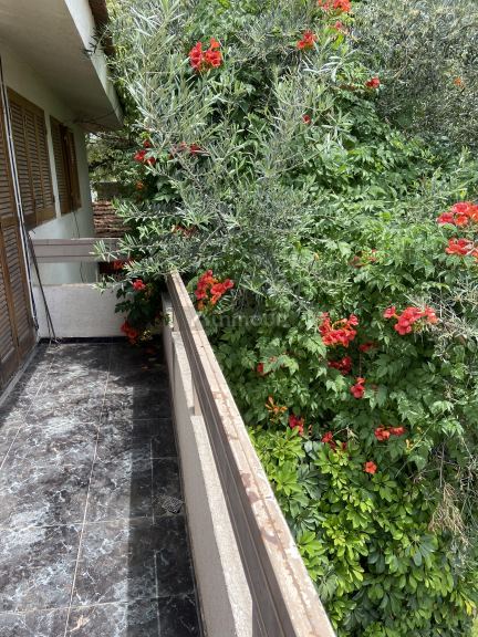 Casa en Alquiler en Lujan de Cuyo, Mendoza
