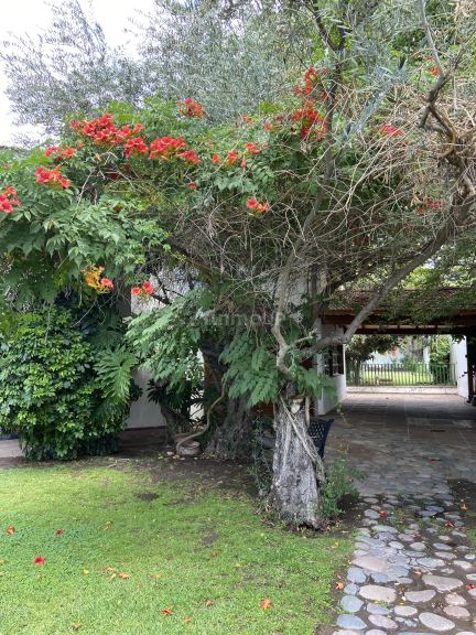 Casa en Alquiler en Lujan de Cuyo, Mendoza