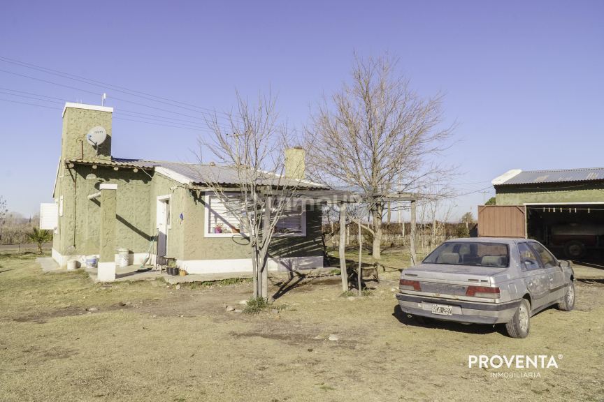 Campo en Venta en San Carlos, Mendoza