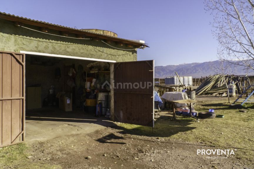 Campo en Venta en San Carlos, Mendoza