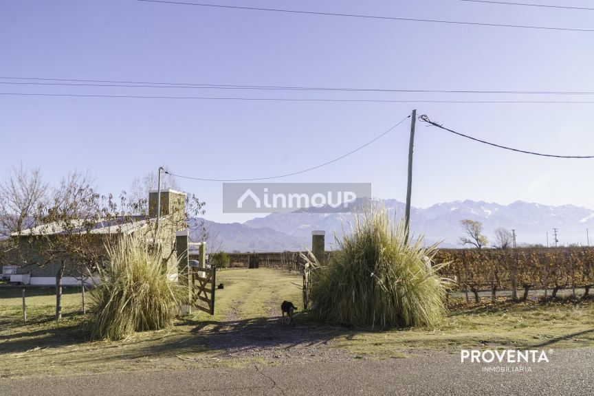 Campo en Venta en San Carlos, Mendoza
