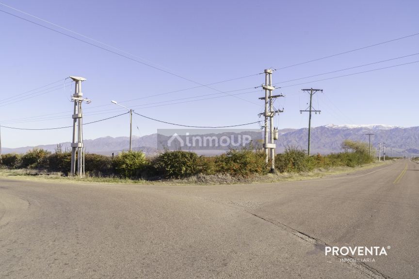 Campo en Venta en San Carlos, Mendoza