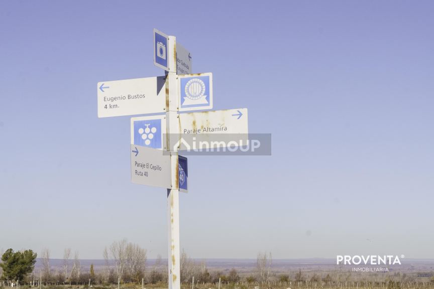 Campo en Venta en San Carlos, Mendoza