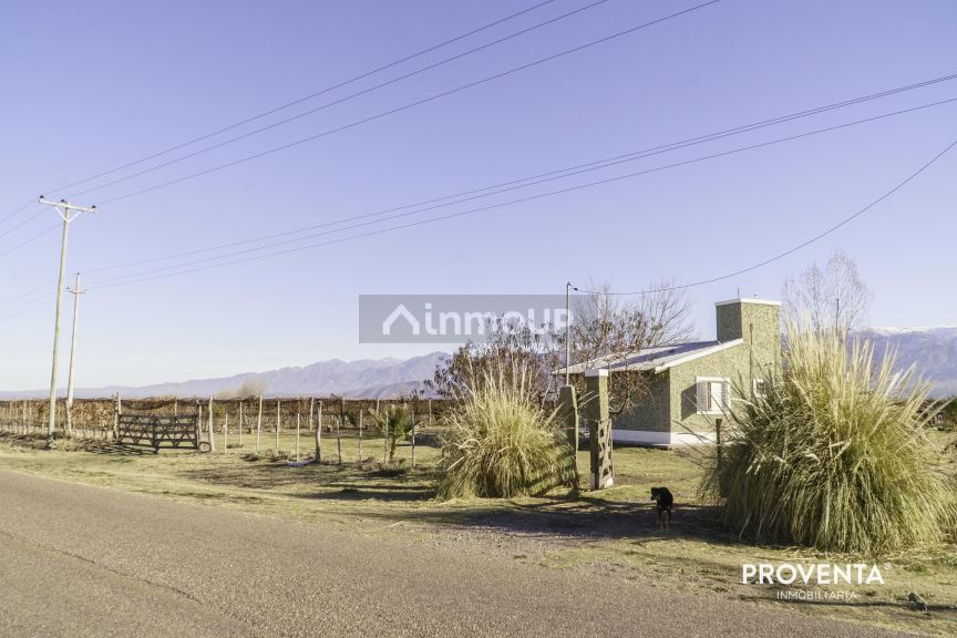 Campo en Venta en San Carlos, Mendoza