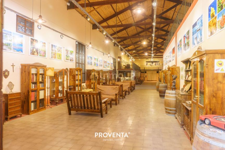 Bodega en Venta en Maipu, Mendoza