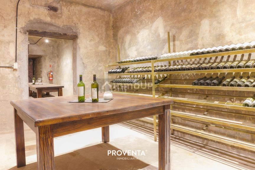 Bodega en Venta en Maipu, Mendoza