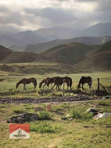 Lote en Venta en Tupungato, Mendoza