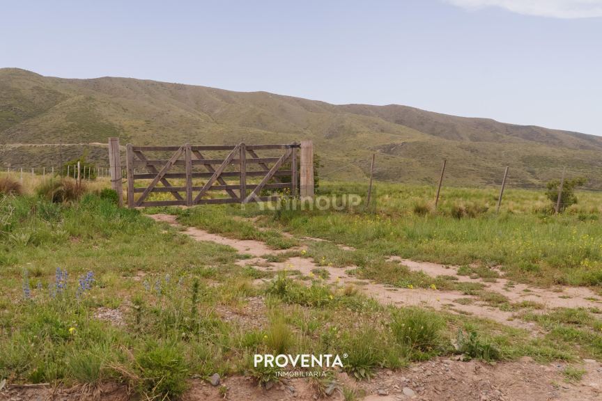 Lote en Venta en Tupungato, Mendoza