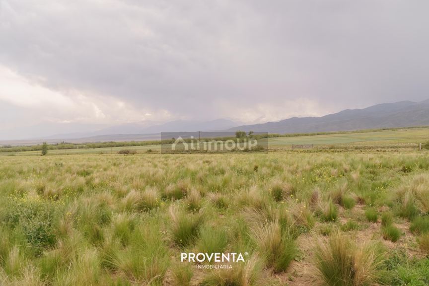 Lote en Venta en Tupungato, Mendoza