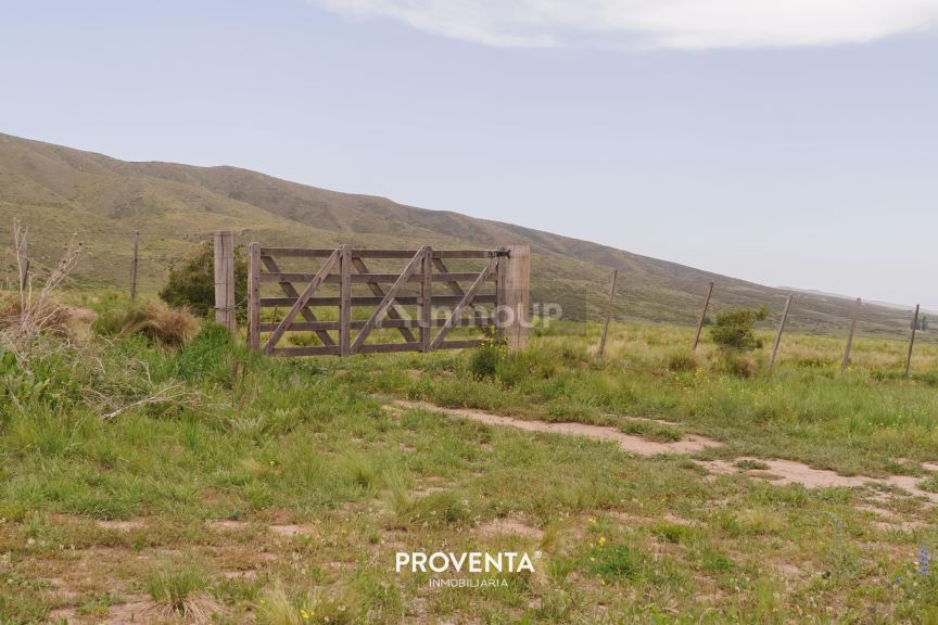 Lote en Venta en Tupungato, Mendoza