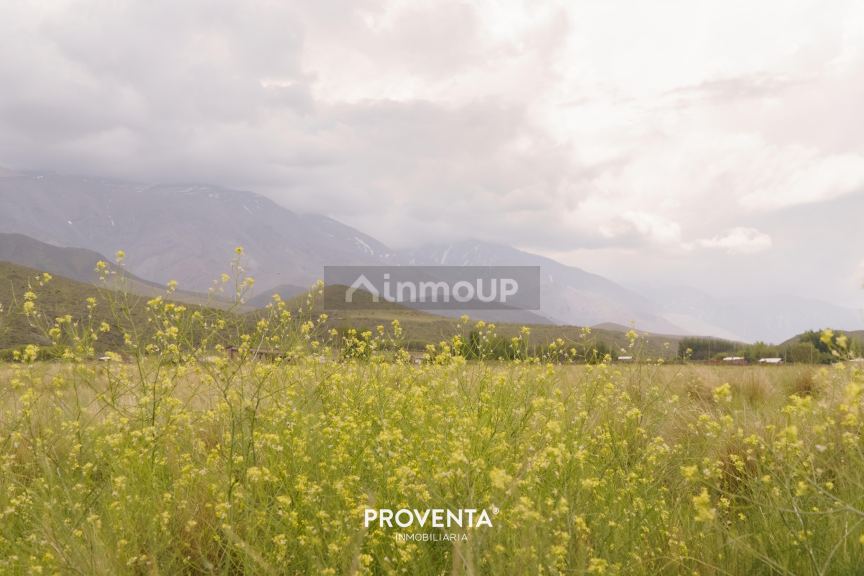 Lote en Venta en Tupungato, Mendoza