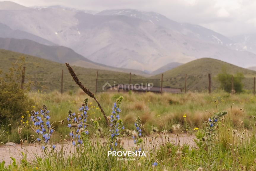 Lote en Venta en Tupungato, Mendoza