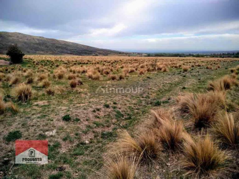 Lote en Venta en Tupungato, Mendoza