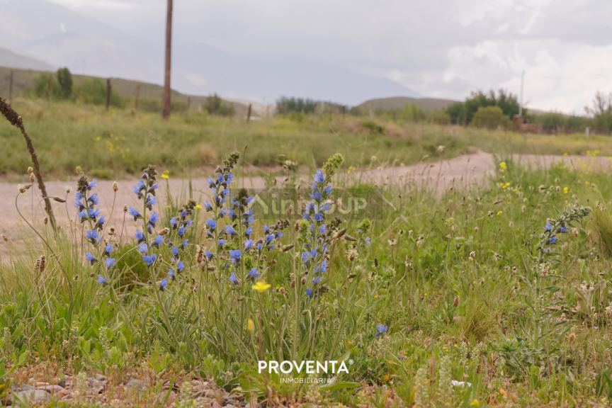 Lote en Venta en Tupungato, Mendoza
