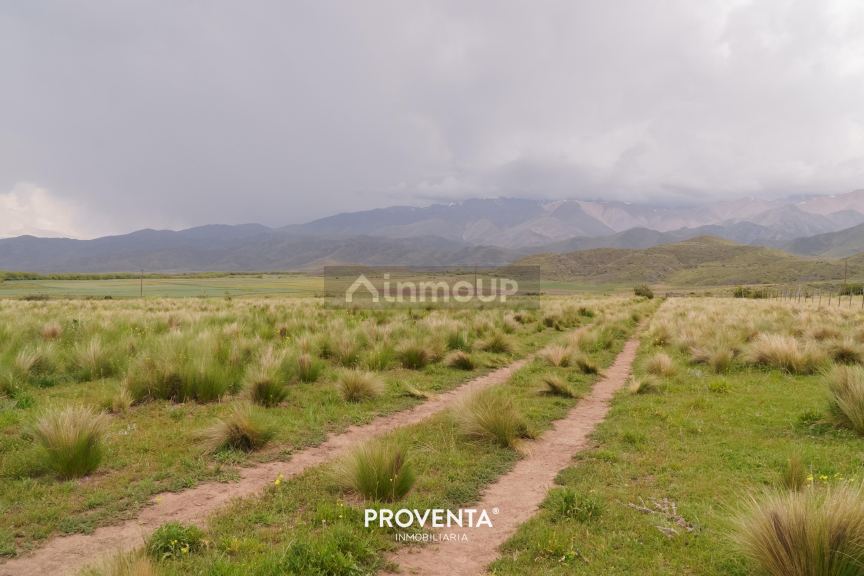 Lote en Venta en Tupungato, Mendoza