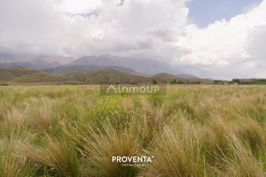 Lote en Venta en Tupungato, Mendoza